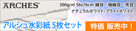 アルシュ水彩紙 5枚セット