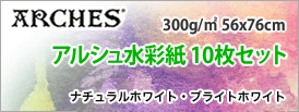 アルシュ水彩紙 10枚セット